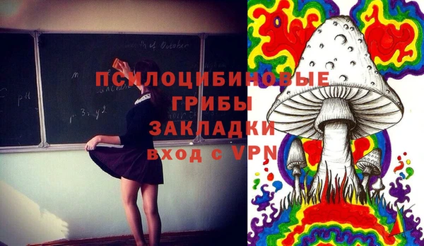 мдпв Беломорск