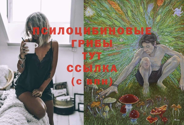 герыч Белокуриха