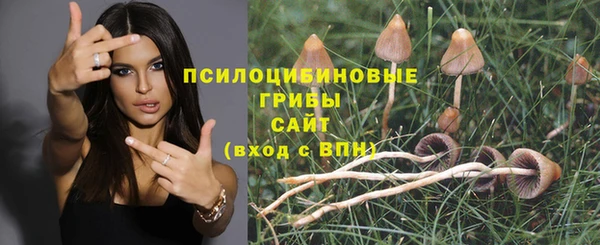 мдпв Беломорск