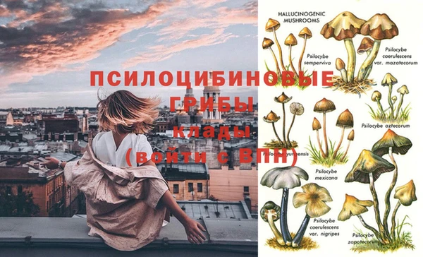 мдпв Беломорск